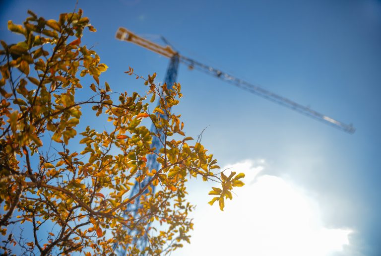 construction-industry-crane-leaves (1) Storage Huddersfield, Self storage Huddersfield, Storage in Huddersfield, Huddersfield storage Storage units for sale, Storage Huddersfield prices